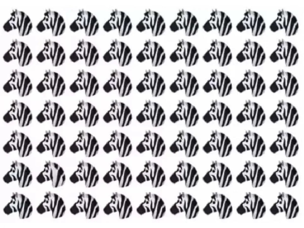 optical illusion