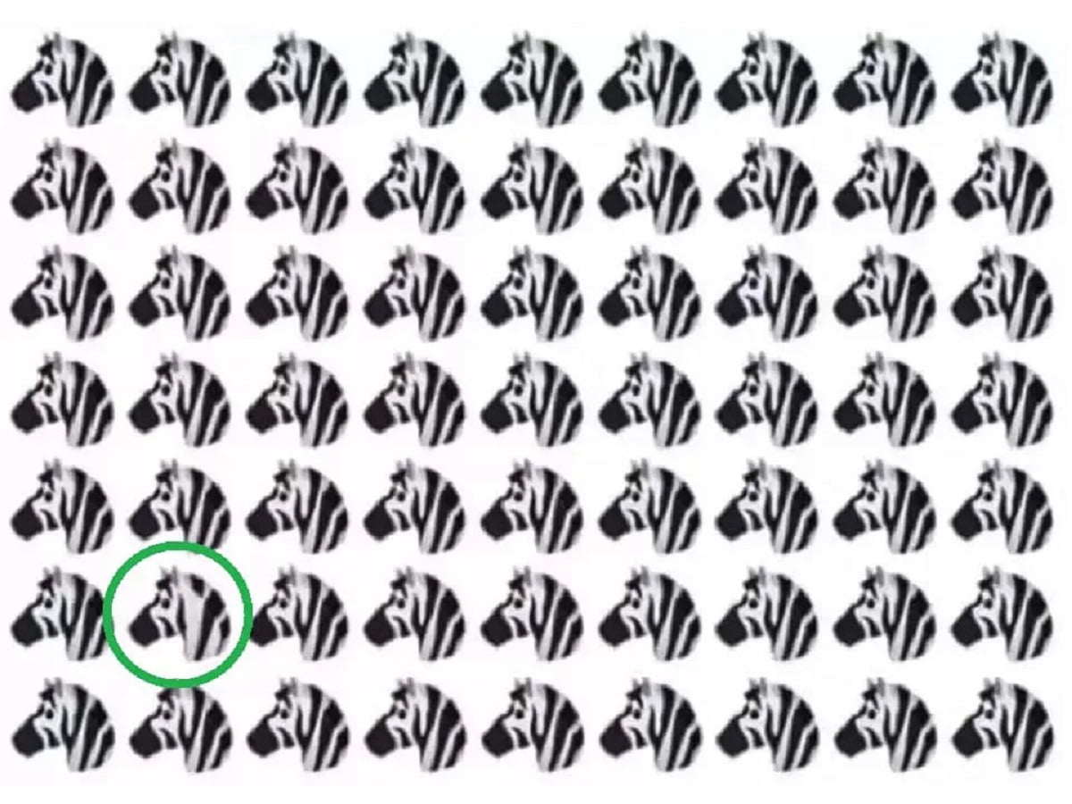 optical illusion