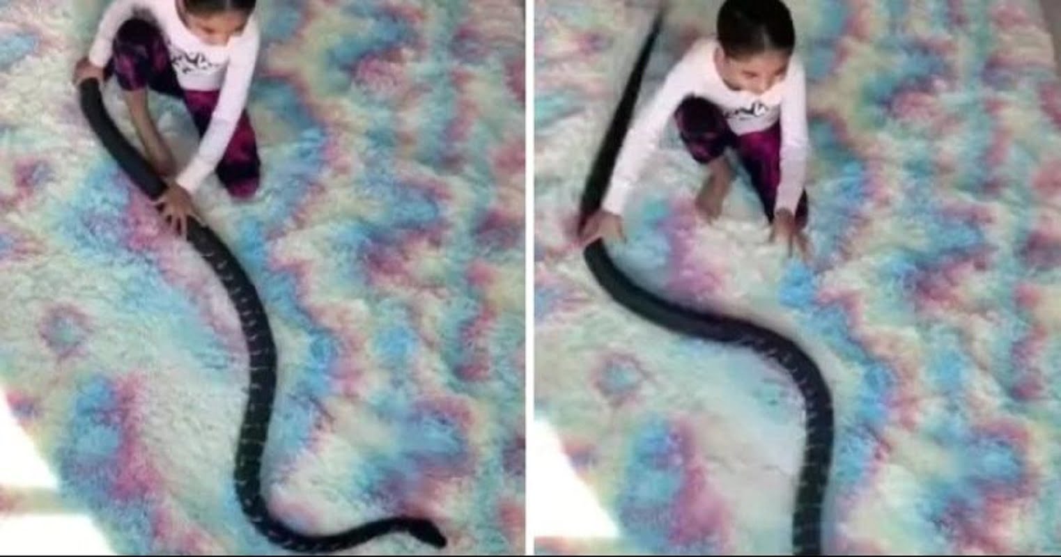 python snake
