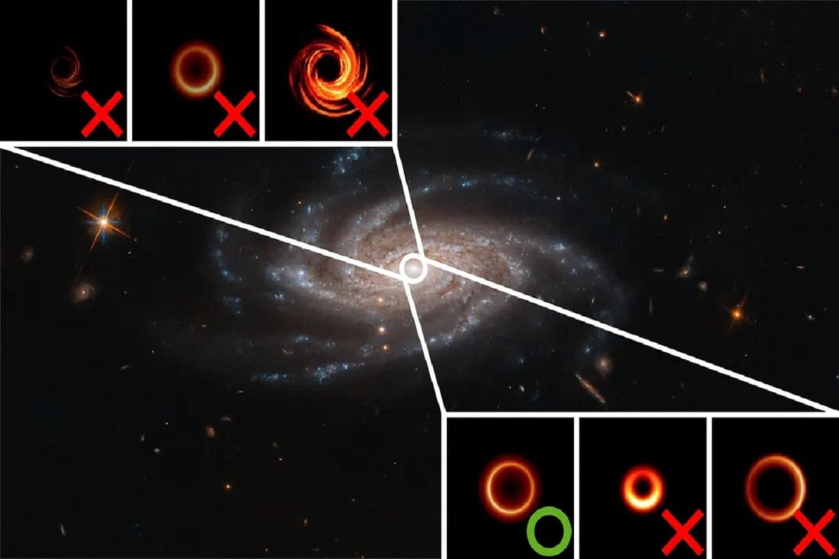 Black Holes 