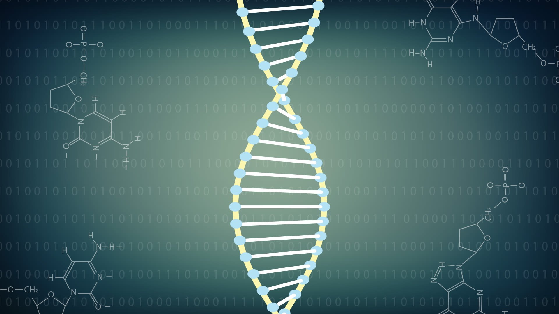 Artificial Gene Networks