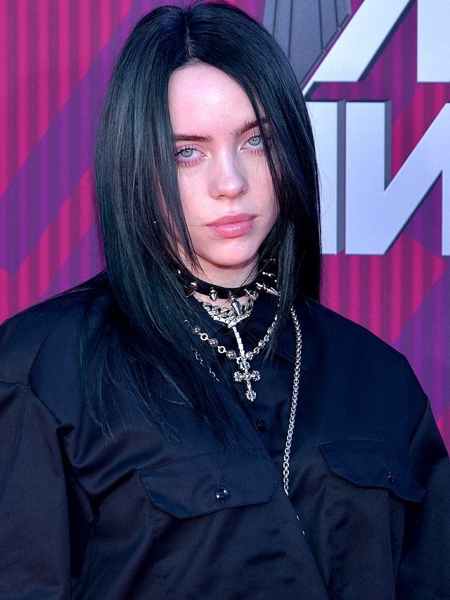Billie Eilish gets update for restraining order on home burglar