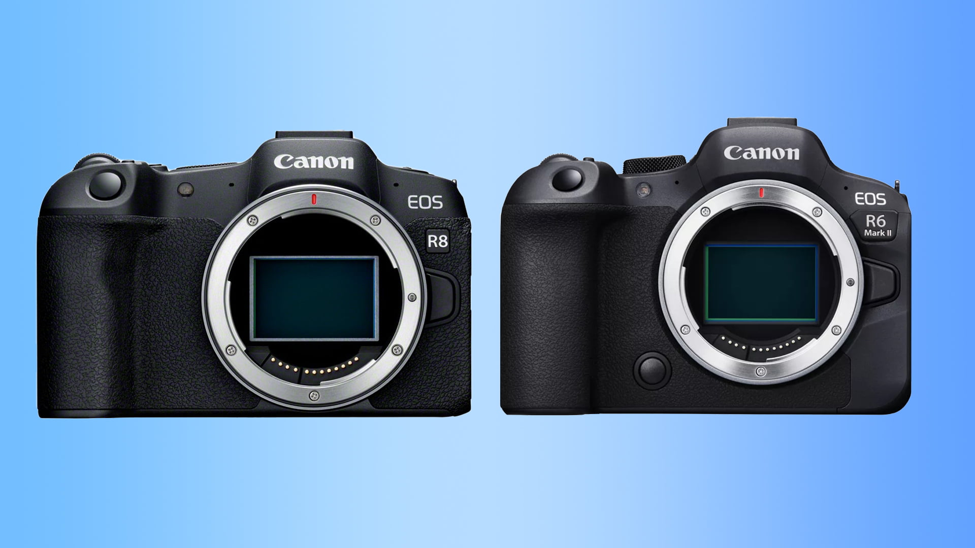 Canon R6 ও R8 