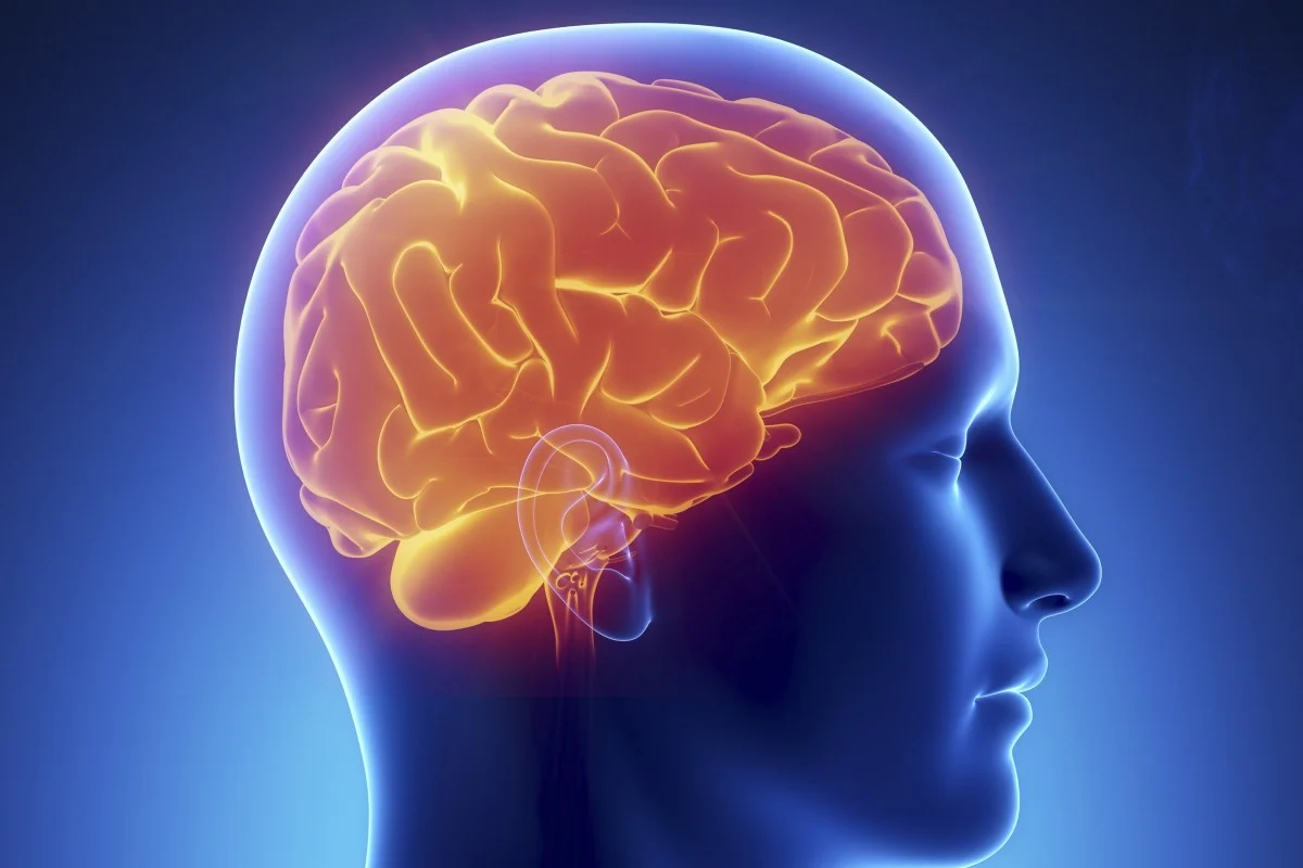 short-term memory
