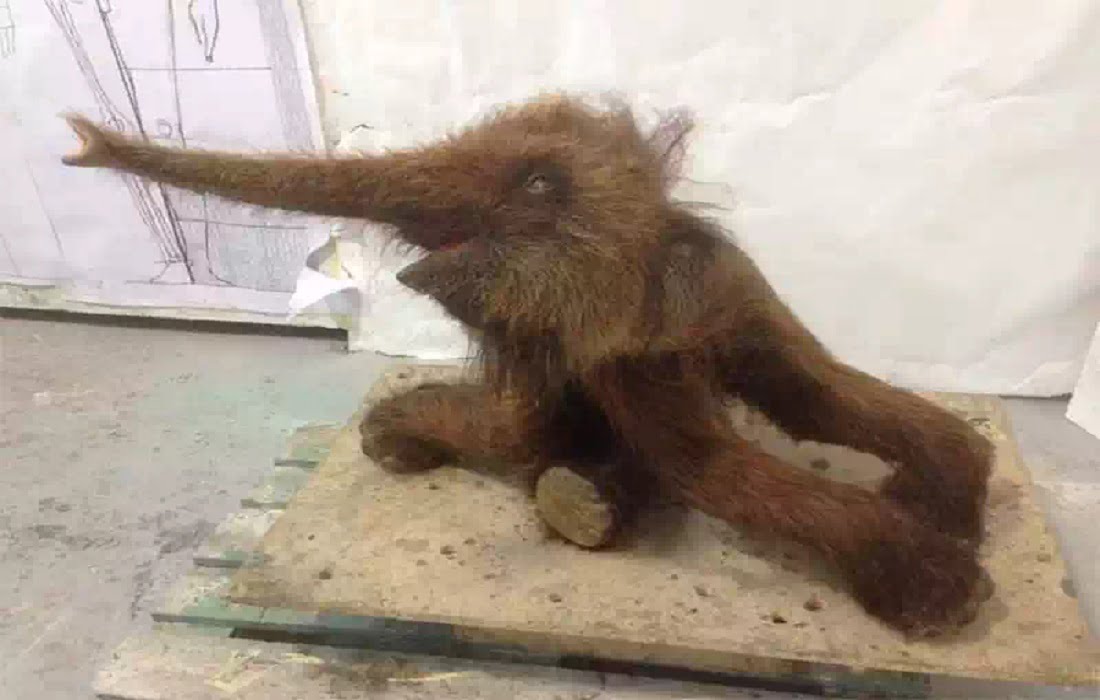 woolly mammoth