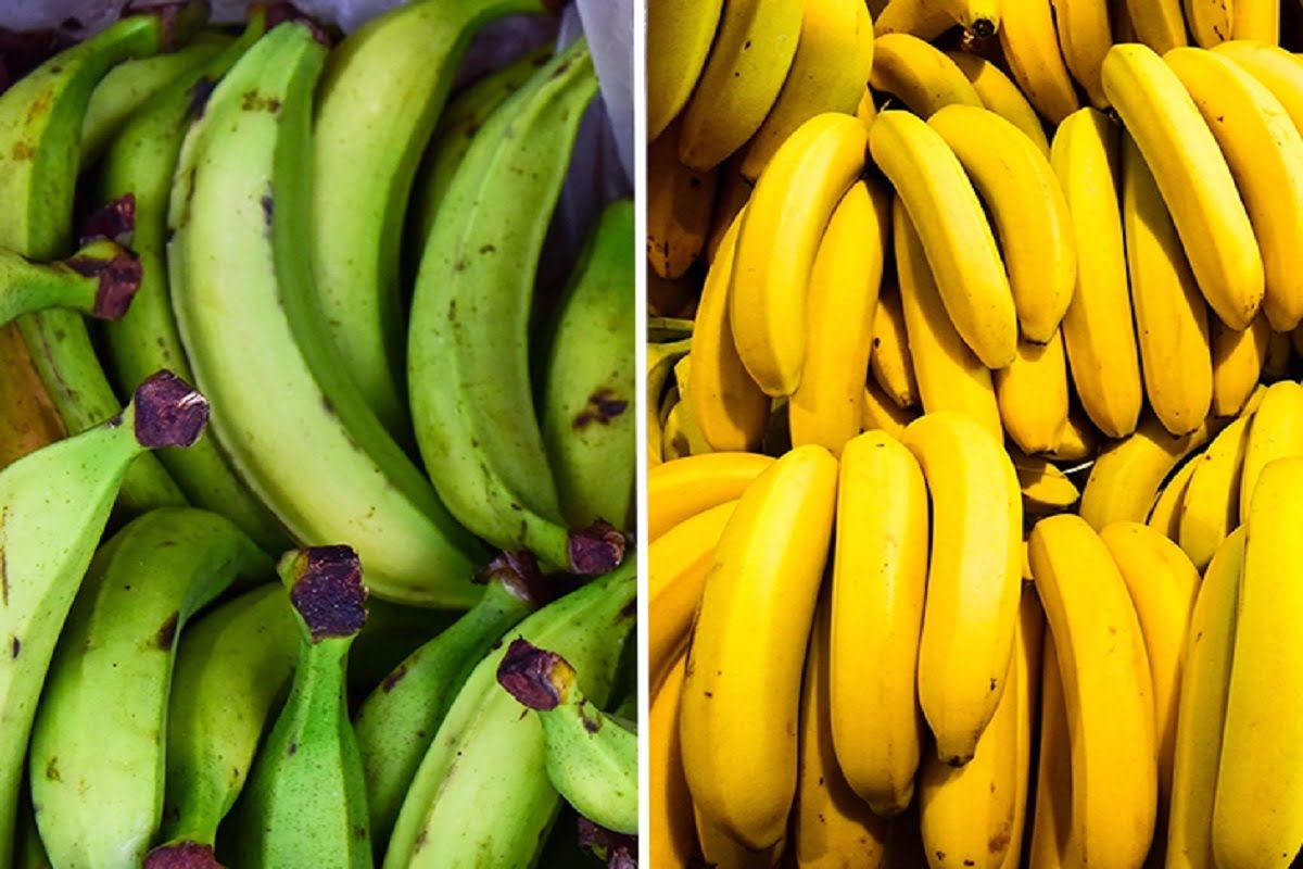 plantain banana