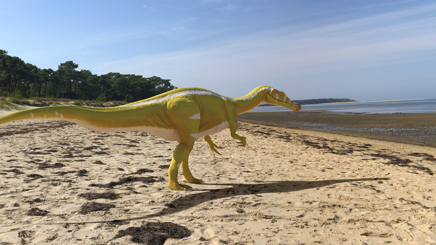 dinosaur fossil